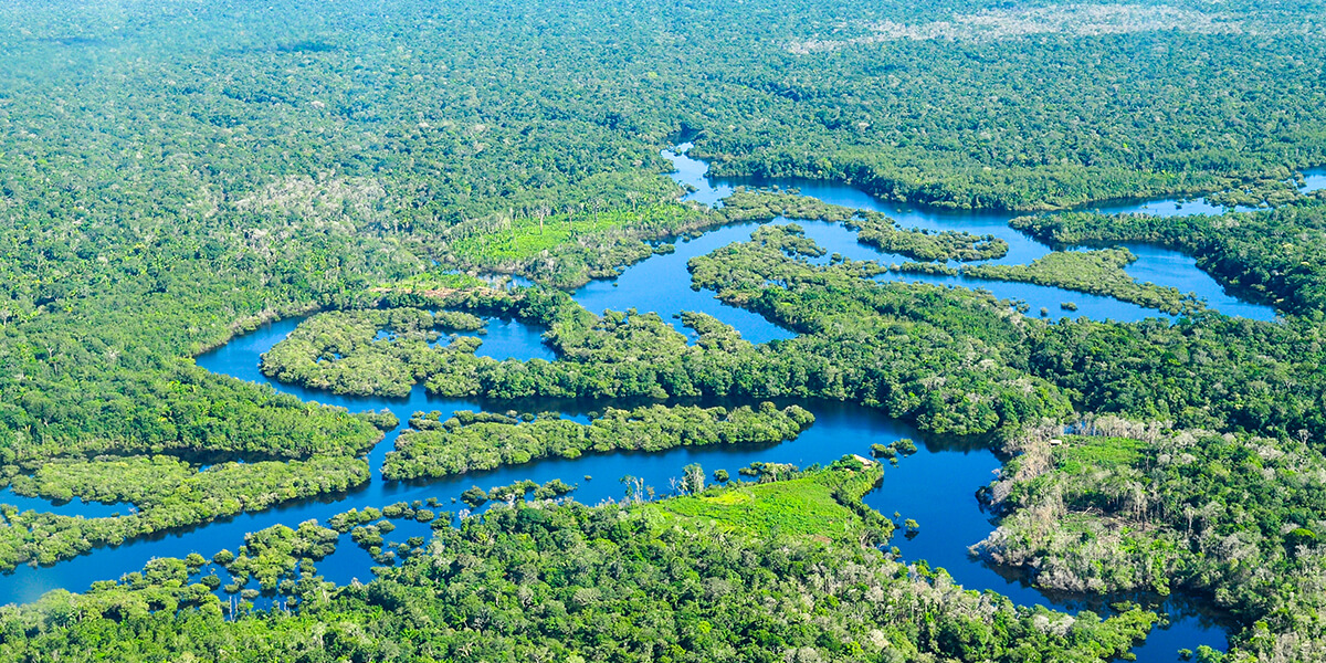 Aerial photo of Amazon rainforest