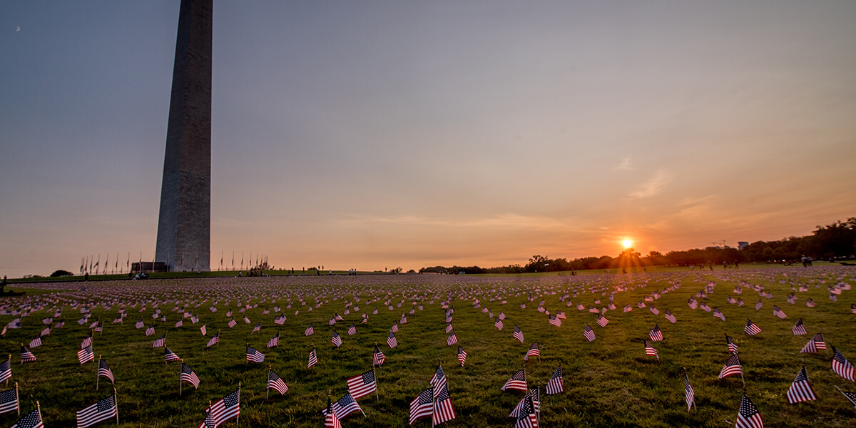 Hundreds of miniature USA flags are staked into the ground on the National Mall at dusk