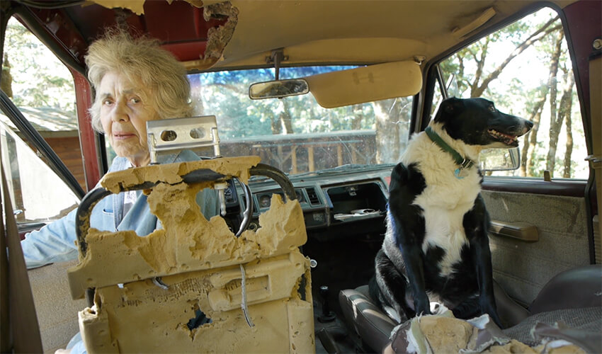 Photo of Sally Gearhart and dog in an old vehicle