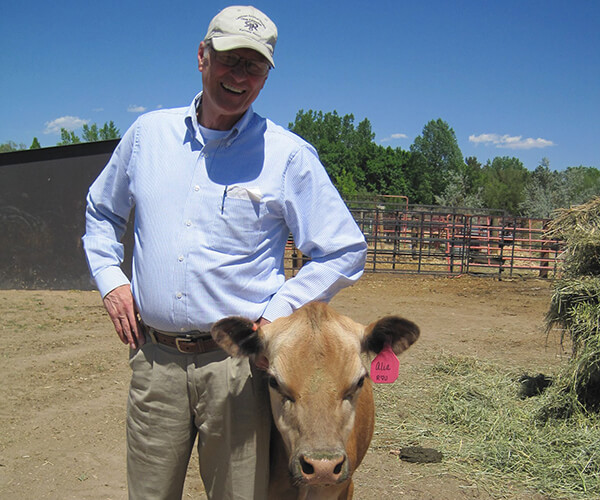 Photo of Bob Thornberg standing next to a cow on a farm