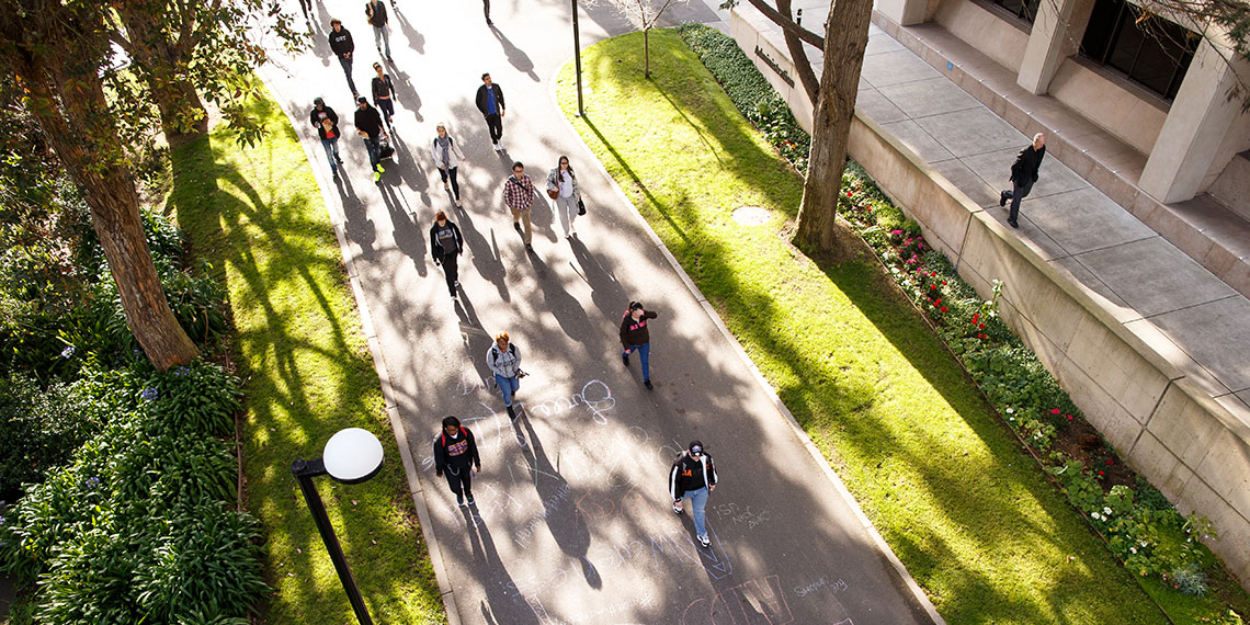 Students walking along path viewed from above