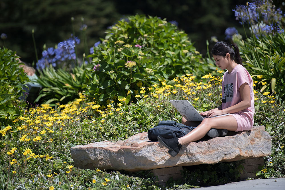 Student sitting on boulder with laptop outside amongst campus landscaping