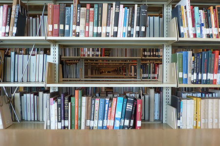 Shelves lined with books