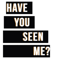 Text reads Have You Seen Me?